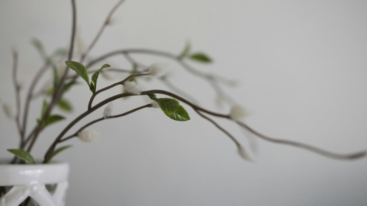 花瓶に生けた枝もののイメージ